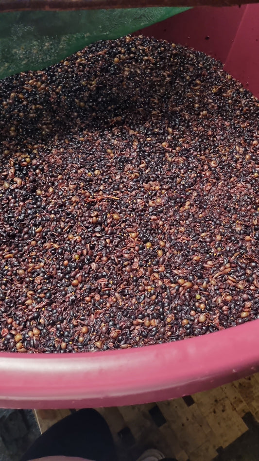 Do Açúcar ao Álcool: A Magia da Fermentação no Vinho
