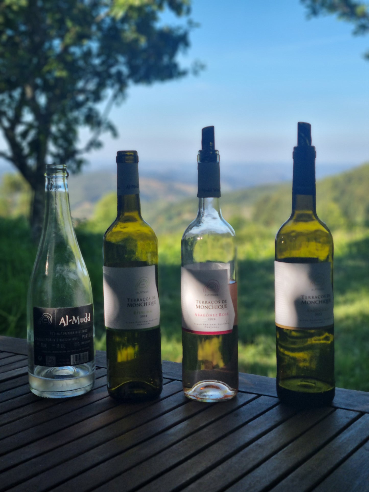 Monchique Wine Experience - Descubra o terroir mais alto do Algarve!