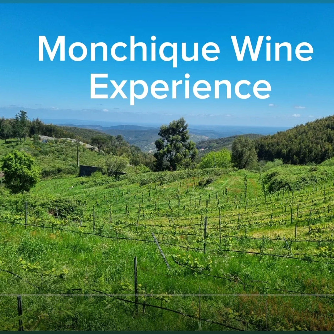 Monchique Wine Experience - Descubra o terroir mais alto do Algarve!