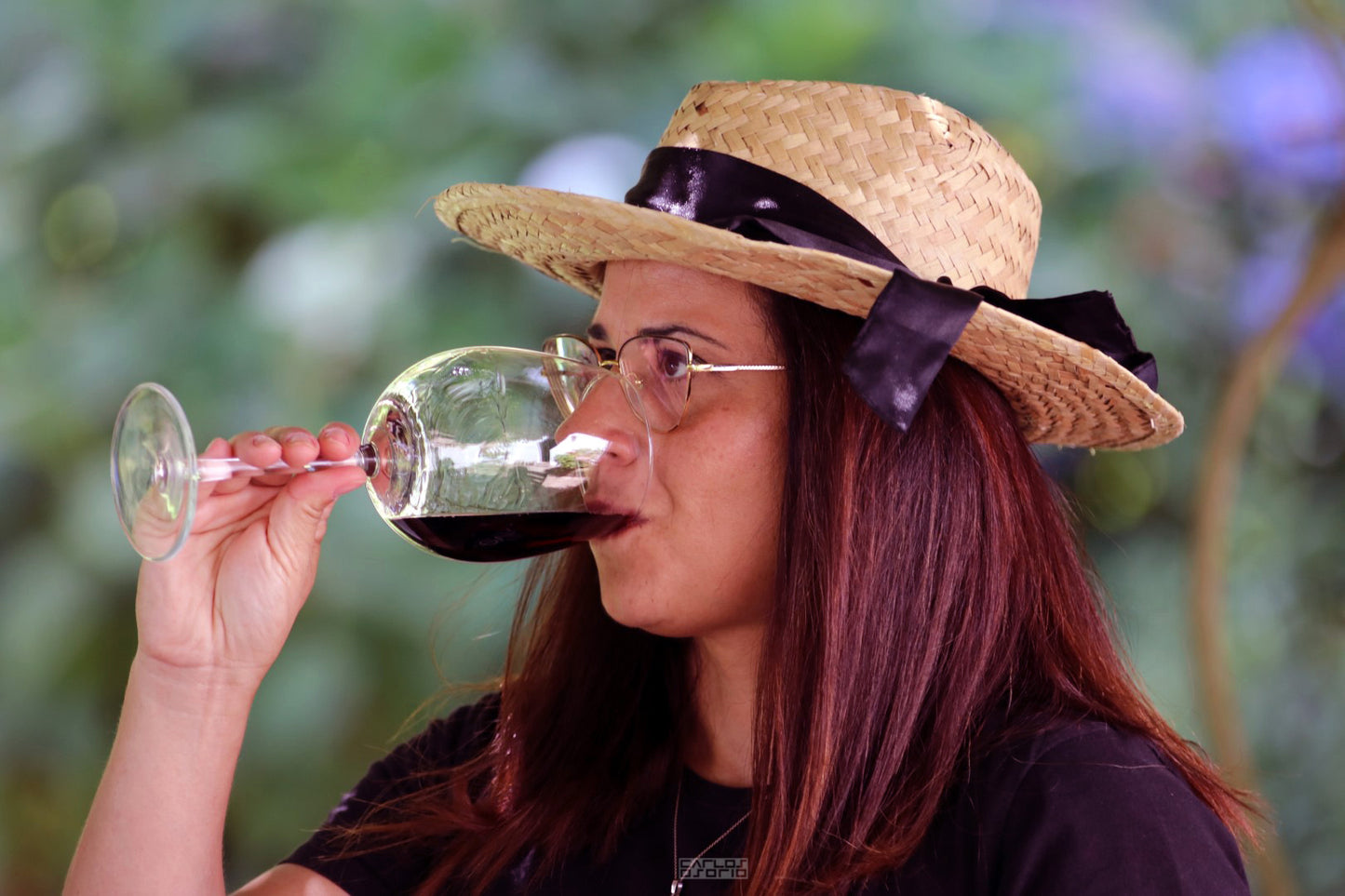 Monchique Wine Experience - Descubra o terroir mais alto do Algarve!