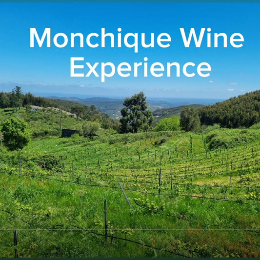 Monchique Wine Experience - Descubra o terroir mais alto do Algarve!