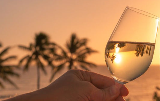 Formação Vinhos do Algarve